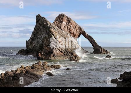 Bogen Geige Rock in der Nähe von Portknockie, Moray, Schottland, Großbritannien Stockfoto