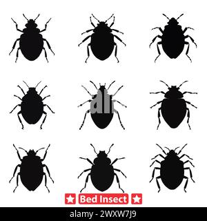 Silent Invaders Bett Insekten Vektor Set für Schädlingsmanagement Illustrationen Stock Vektor