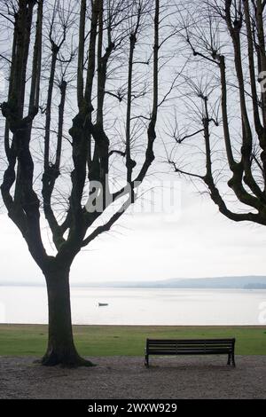 Leerer Park entlang der Küste im Winter. Bank ohne Leute, Bäume ohne Blätter Stockfoto