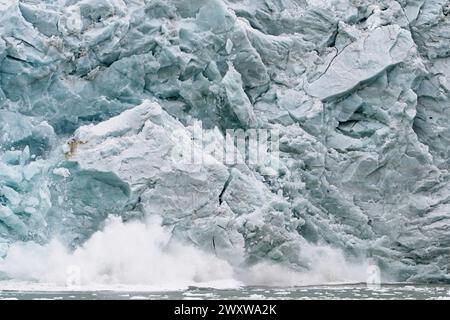 Das Gesicht des Pia-Gletschers kalbt und fällt in die Bucht von Pia. Der Gletscher fließt aus den Darwin Mountains und schmilzt aufgrund des Klimawandels schnell. Stockfoto