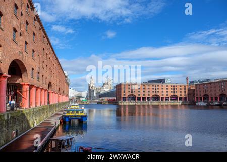 Albert Dock blickt auf die drei Graces und das Museum of Liverpool, Liverpool, Merseyside, England, Großbritannien Stockfoto