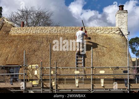 Thatcher bei der Arbeit auf einem Hüttendach. England Großbritannien Stockfoto