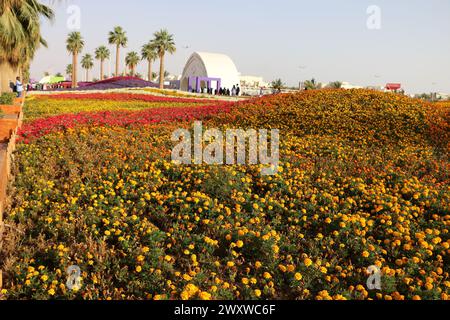 Yanbu, Region Madinah, Saudi-Arabien. 23. März 2019 - Blumenfest - jährliche Veranstaltung der Königlichen Kommission Stockfoto