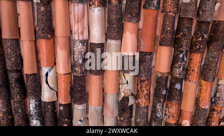 Dachschindeln beschädigt und reparaturbedürftig Stockfoto