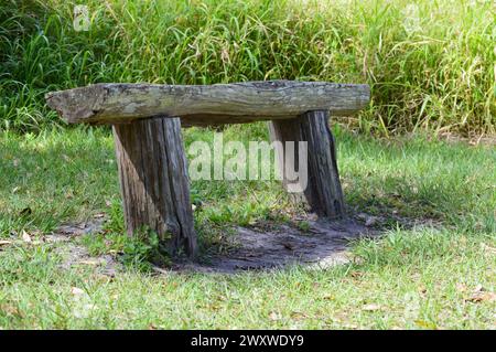 Holzbank auf einem Strandspaziergang Stockfoto