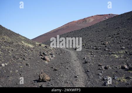 Ein schmutziger Pfad führt zum Vulkankegel Eldfel bei Vestmannaeyjar, Island Stockfoto