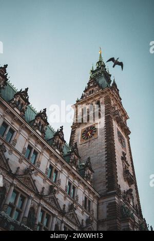 Das Hamburger Rathaus Stockfoto