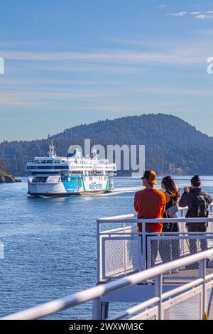 Fahren Sie die MV Coastal Renaissance im Active Pass durch die British Columbia Gulf Islands in Kanada Stockfoto