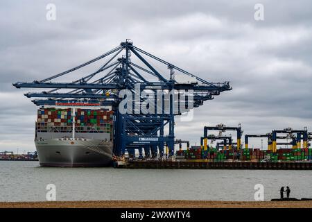 OOCL Gdynia Containerhafen von Felixstowe Suffolk UK Stockfoto