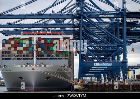 OOCL Gdynia Containerhafen von Felixstowe Suffolk UK Stockfoto