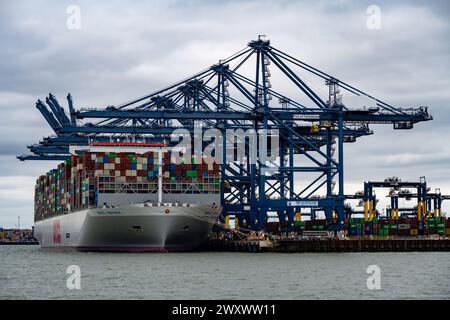 OOCL Gdynia Containerhafen von Felixstowe Suffolk UK Stockfoto