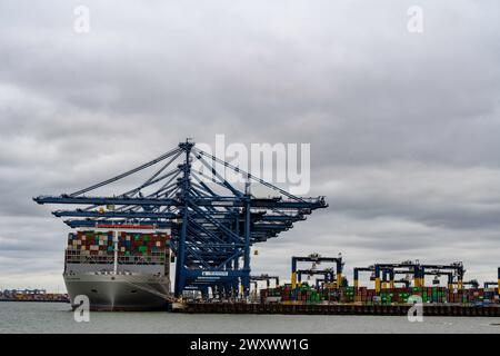 OOCL Gdynia Containerhafen von Felixstowe Suffolk UK Stockfoto