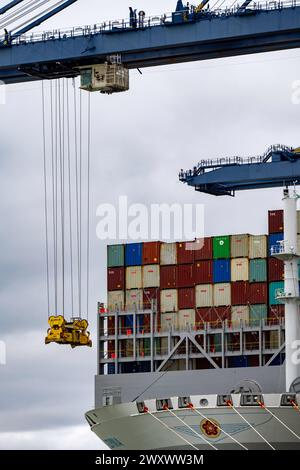 OOCL Gdynia Containerhafen von Felixstowe Suffolk UK Stockfoto