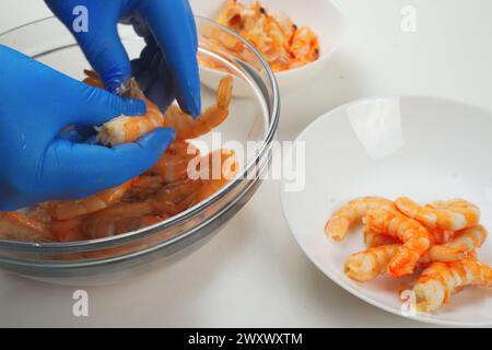 Eine Person, die blaue Handschuhe trägt, schält Garnelen über einer klaren Glasschale neben einem weißen Teller mit geschälten Garnelen, was die Zubereitung einer Mahlzeit in einer Kuppel andeutet Stockfoto