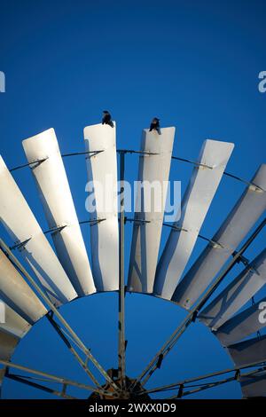 Windmühle zur Regulierung des Wasserflusses in der Landwirtschaft als Wasserpumpe Stockfoto