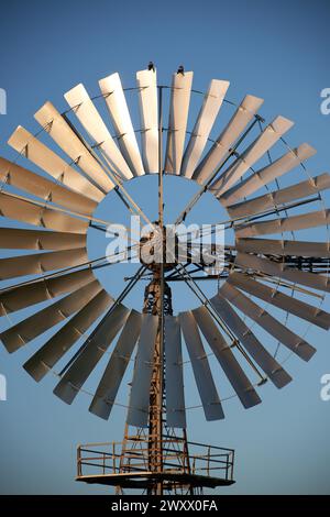 Windmühle zur Regulierung des Wasserflusses in der Landwirtschaft als Wasserpumpe Stockfoto