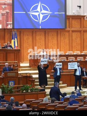 Bukarest, Rumänien. April 2024: Senatorin Diana Iovanovici Sosoaca (C), Präsidentin der rechtspopulistischen Partei SOS Romania, zwei weitere Parlamentskollegen protestieren auf der feierlichen gemeinsamen Sitzung der Abgeordnetenkammer und des Senats des rumänischen Parlaments anlässlich des 20. Jahrestages des Beitritts Rumäniens zum Nordatlantik mit Plakaten mit den Aufschriften "Frieden" und "Wir wollen keine ausländischen Militärbasen" Allianz und 75. Jahrestag der Existenz der NATO. Quelle: Lucian Alecu/Alamy Live News Stockfoto