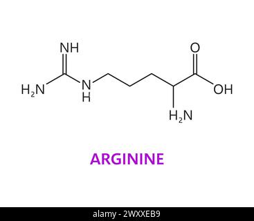 Arginin-Aminosäure-chemisches Molekül, essentielle Kettenstruktur. Muskelproteinmolekül-Verbindung, essentielle Aminosäure-Wissenschaftsformel oder Nutritional Supplement Vector Molekularstruktur Stock Vektor