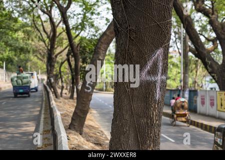 2. April 2024, Chittagong, Chattogram, Bangladesch: Bäume auf der schönen Straße vom Tigerpass nach Kadmatoli wurden für den Fall markiert. Die Entwicklungsbehörde Chittagong erklärte, dass diese Bäume vor dem Bau der Hauptinfrastruktur der Rampe nach dem Bodenversuch abgeschnitten werden. Anfang 2021 wurde eine Initiative zum Bau eines Krankenhauses in CRB ergriffen, einem Ort umgeben von natürlicher Schönheit und Grün. Aber die Zivilgesellschaft hat dagegen protestiert. Angesichts der Proteste der Zivilgesellschaft wurde das Krankenhaus nicht eröffnet. (Kreditbild: © Md. Zakir Hossain/Pacific Press über ZUMA Press Wi Stockfoto