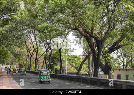 2. April 2024, Chittagong, Chattogram, Bangladesch: Bäume auf der schönen Straße vom Tigerpass nach Kadmatoli wurden für den Fall markiert. Die Entwicklungsbehörde Chittagong erklärte, dass diese Bäume vor dem Bau der Hauptinfrastruktur der Rampe nach dem Bodenversuch abgeschnitten werden. Anfang 2021 wurde eine Initiative zum Bau eines Krankenhauses in CRB ergriffen, einem Ort umgeben von natürlicher Schönheit und Grün. Aber die Zivilgesellschaft hat dagegen protestiert. Angesichts der Proteste der Zivilgesellschaft wurde das Krankenhaus nicht eröffnet. (Kreditbild: © Md. Zakir Hossain/Pacific Press über ZUMA Press Wi Stockfoto