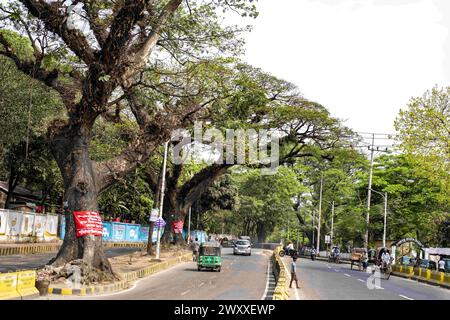 2. April 2024, Chittagong, Chattogram, Bangladesch: Bäume auf der schönen Straße vom Tigerpass nach Kadmatoli wurden für den Fall markiert. Die Entwicklungsbehörde Chittagong erklärte, dass diese Bäume vor dem Bau der Hauptinfrastruktur der Rampe nach dem Bodenversuch abgeschnitten werden. Anfang 2021 wurde eine Initiative zum Bau eines Krankenhauses in CRB ergriffen, einem Ort umgeben von natürlicher Schönheit und Grün. Aber die Zivilgesellschaft hat dagegen protestiert. Angesichts der Proteste der Zivilgesellschaft wurde das Krankenhaus nicht eröffnet. (Kreditbild: © Md. Zakir Hossain/Pacific Press über ZUMA Press Wi Stockfoto