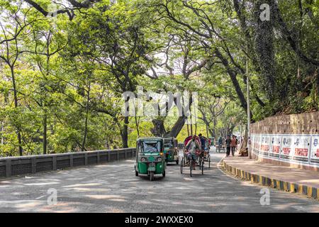 2. April 2024, Chittagong, Chattogram, Bangladesch: Bäume auf der schönen Straße vom Tigerpass nach Kadmatoli wurden für den Fall markiert. Die Entwicklungsbehörde Chittagong erklärte, dass diese Bäume vor dem Bau der Hauptinfrastruktur der Rampe nach dem Bodenversuch abgeschnitten werden. Anfang 2021 wurde eine Initiative zum Bau eines Krankenhauses in CRB ergriffen, einem Ort umgeben von natürlicher Schönheit und Grün. Aber die Zivilgesellschaft hat dagegen protestiert. Angesichts der Proteste der Zivilgesellschaft wurde das Krankenhaus nicht eröffnet. (Kreditbild: © Md. Zakir Hossain/Pacific Press über ZUMA Press Wi Stockfoto