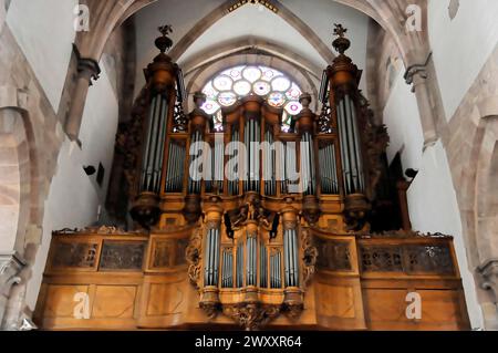 Die lutherische Kirche St. Thomas, Eglise St. Thomas de Straßburg, Elsass, große Kirchenorgel mit gotischen Elementen und Holzschnitzereien Stockfoto