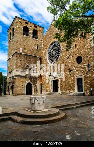 Kathedrale von San Giusto mit Glockenturm, Colle di San Giusto, Triest, Hafenstadt an der Adria, Friaul, Italien, Triest, Friaul, Italien Stockfoto