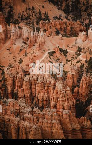 Blick von oben auf den Peek-A-Boo Trail im Bryce Canyon, Utah Stockfoto