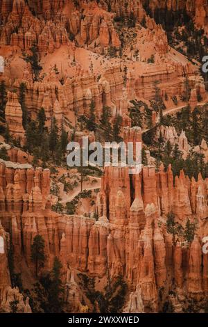 Blick von oben auf den Peek-A-Boo Trail im Bryce Canyon, Utah Stockfoto