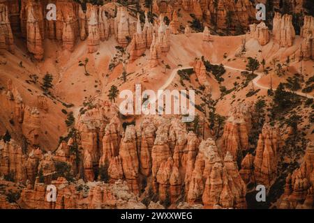 Blick von oben auf den Peek-A-Boo Trail im Bryce Canyon, Utah Stockfoto
