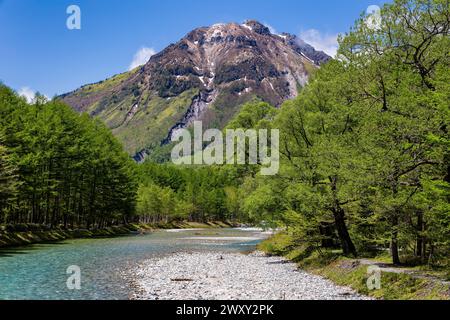 Schnell fließender, klarer Fluss, der durch einen Wald und Berge fließt Stockfoto