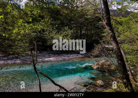 Kristallklarer, schnell fließender Fluss in einem üppigen Wald Stockfoto