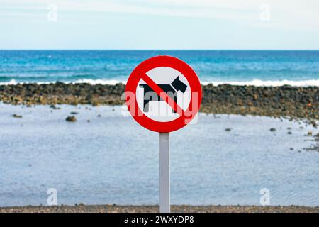 Keine Hunde erlaubt Schild am Strand. Verbotsschild am Strand für Wanderhunde Stockfoto