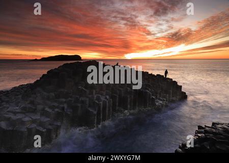 Sonnenaufgang am Giants Causeway Fingal Head, NSW, Australien mit Cook Island in der Ferne Stockfoto