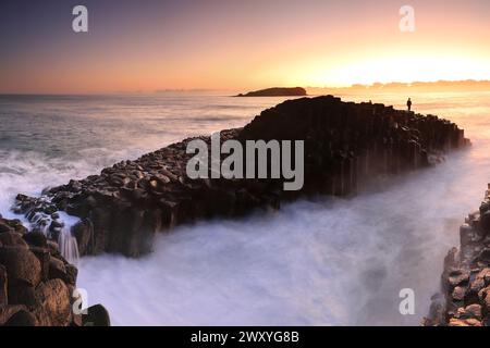 Sonnenaufgang am Giants Causeway, Fingal Head, NSW, Australien mit Cook Island in der Ferne Stockfoto