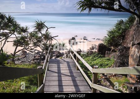 Ein alter Holzsteg führt hinunter nach Cabarita Beach, NSW, Australien Stockfoto