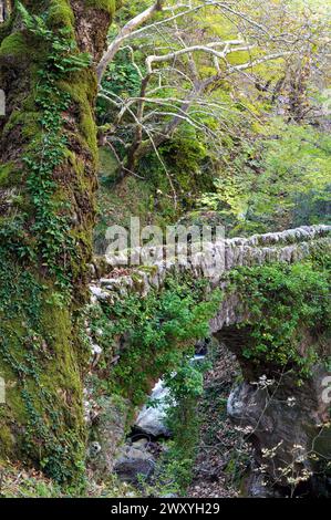 Blick auf eine traditionelle Steinbrücke in den Agrafa Bergen in der Nähe des Dorfes Chryso in Zentralgriechenland Stockfoto