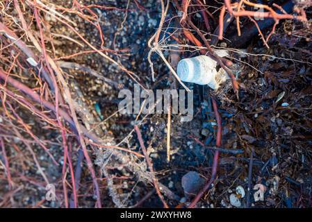 Die Plastikverschmutzung am Wonga Beach in Far North Queensland, Australien, wurde entweder an Land gespült oder in einem nahegelegenen Sturmwasserabfluss aus der Stadt hinunter gespült Stockfoto