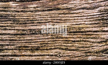 Verwittertes Holz Strukturiertes Abstraktes Hintergrunddesign Stockfoto