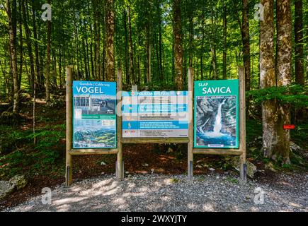 Schilder an den Slap Savica (Savica Falls) am Boninj-See, einer beliebten Touristenattraktion im Nordwesten Sloweniens, Mittel- und Osteuropa Stockfoto