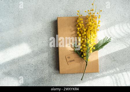 Von oben zieren helle Mimosa-Blüten einen einfachen braunen Papierumschlag auf einer strukturierten grauen Oberfläche. Stockfoto