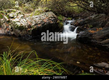 Ein ruhiger Wasserfall fällt sanft über moosbedeckte Felsen in einem Buchenwald und zeigt die friedliche Schönheit der Natur in Tejera Negra Stockfoto