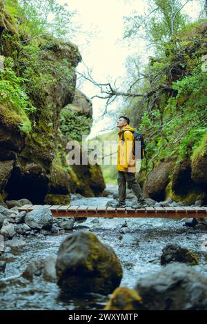 Ein Wanderer in leuchtender gelber Jacke steht auf einem Holzweg über einen felsigen Bach, umgeben von üppigem Grün in der wilden isländischen Landschaft. Stockfoto