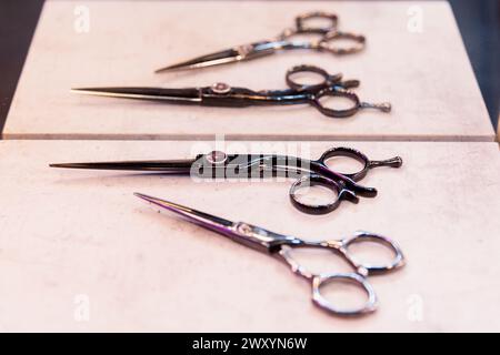 Eine Auswahl an scharfen Friseurscheren auf einem Tisch, die Werkzeuge des Friseurhandels zeigen Stockfoto