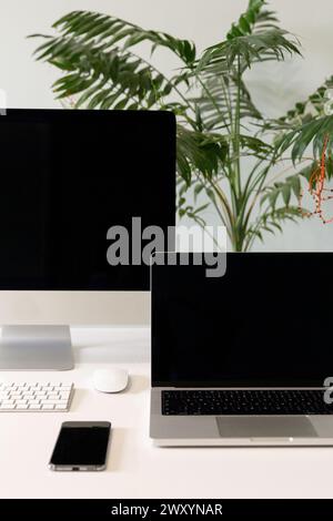 Ein übersichtlicher Schreibtisch mit einem eleganten Laptop, Smartphone und Zimmerpflanze, der einen modernen, minimalistischen Arbeitsbereich darstellt Stockfoto