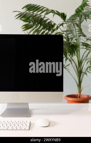 Ein aufgeräumtes, minimalistisches Büro mit einem schlanken Computer, Tastatur, Maus und einer grünen Topfpflanze auf einem sauberen weißen Schreibtisch Stockfoto