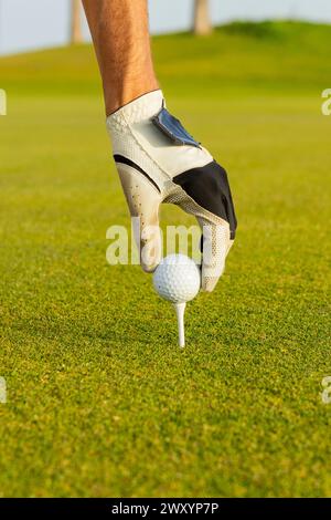 Abgeschnittene, nicht erkennbare Golfhand mit Handschuh legt einen Golfball sicher auf ein Abschlag und bereitet sich auf einen üppigen Golfplatz vor. Stockfoto