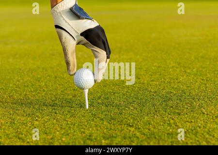 Abgeschnittene, nicht erkennbare Golfhand mit Handschuh legt einen Golfball sicher auf ein Abschlag und bereitet sich auf einen üppigen Golfplatz vor. Stockfoto