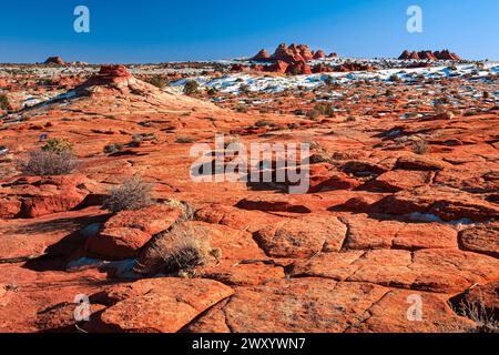 Coyote Buttes North, zerbrechlicher Sandstein, der durch Wind und Wasser gebildet wird, USA, Arizona, Paria Wilderness Area Stockfoto